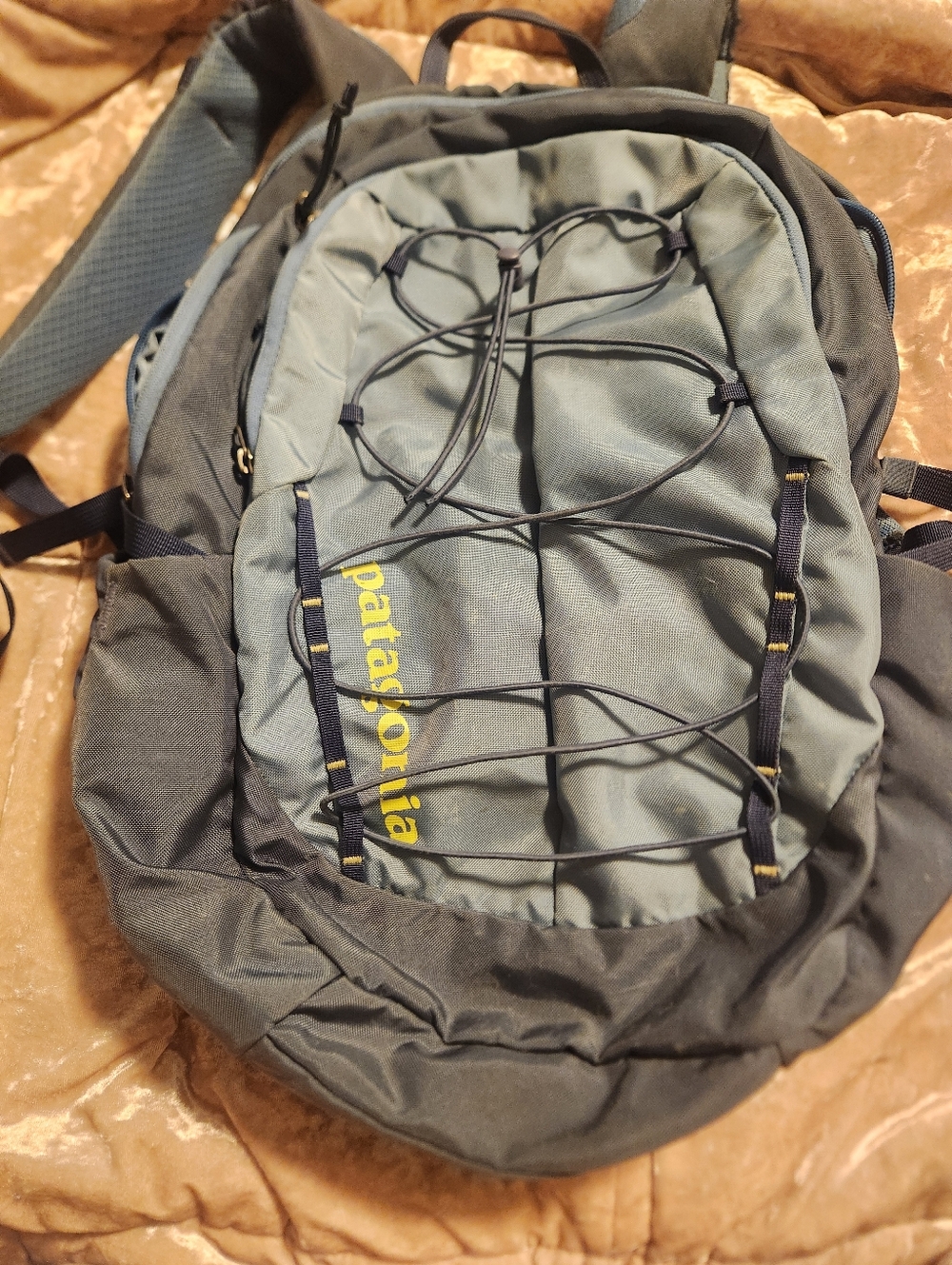 Patagonia Backpack